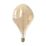 Calex XXL Organic Evo E27 Decorative LED Light Bulb Gold 300lm 6W