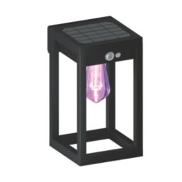 Calex  Outdoor LED Smart Solar Light With PIR Sensor Black 250lm