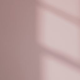 LickPro Max+ 1Ltr Pink 05 Matt Emulsion  Paint