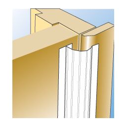 Little Fingers Rear Hinge Protector