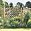 Forest Hamburg Lattice Curved Top Garden Screens 6' x 6' 4 Pack
