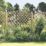 Forest Hamburg Lattice Curved Top Garden Screens 6' x 6' 4 Pack