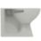 Armitage Shanks Sandringham 21  Back-to-Wall Toilet Bowl with Horizontal Outlet