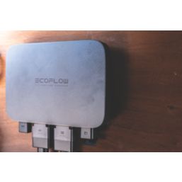 Ecoflow  76A Alternator Charger
