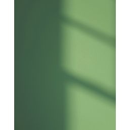 LickPro Max+ 2.5Ltr Green 07 Matt Emulsion  Paint