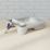 Fortress Trade  Extra Long Pile Roller Sleeve Masonry 12" x 80mm