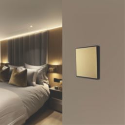 British General Evolve 20A 16AX 1-Gang 2-Way Light Switch  Satin Brass