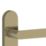 Cooke & Lewis Maugan WC Lever on Backplate Door Handles Pair Antique Brass