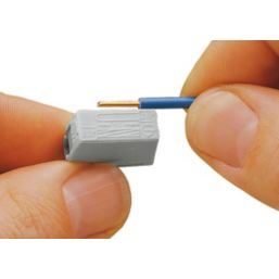 Wago 224-101 24A 2-Way Push-Wire Lighting Connectors 100 Pack