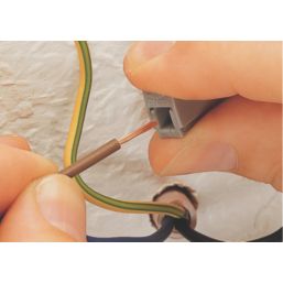 Wago 224-101 24A 2-Way Push-Wire Lighting Connectors 100 Pack