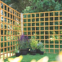 Forest  Softwood Square Trellis 6' x 6' 4 Pack