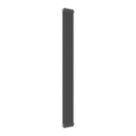 Reina 1800mm x 200mm 1691BTU Anthracite Vertical 2 Column Radiator