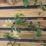 Forest  Softwood Rectangular Slatted Trellis 3' x 6' 6 Pack