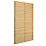 Forest  Softwood Rectangular Slatted Trellis 29.6' x 6' 6 Pack