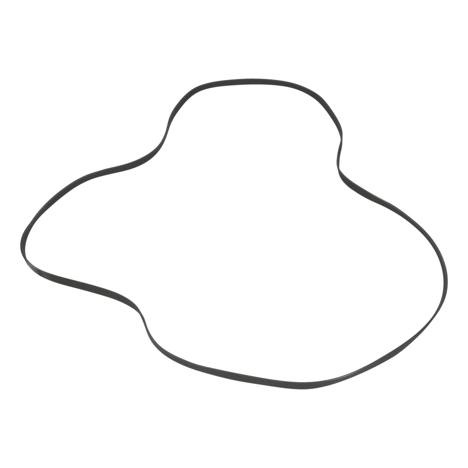 Electruepart BLT9198 Drive Belt 1 (646EV)