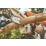 STIHL GTA 26 10.8V Li-Ion AS System  Cordless 10cm Powered Pruner - Bare