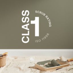 LickPro Max+ 5Ltr Green 19 Matt Emulsion  Paint