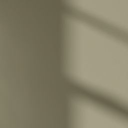 LickPro Max+ 5Ltr Green 19 Matt Emulsion  Paint