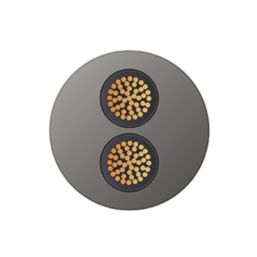 Time 2-Core YY Grey 2.5mm²  Unscreened Control Cable 1m Coil