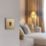 British General Evolve 20A 16AX 1-Gang 2-Way Light Switch  Satin Brass with Black Inserts