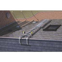 Werner  4.89m Roof Ladder