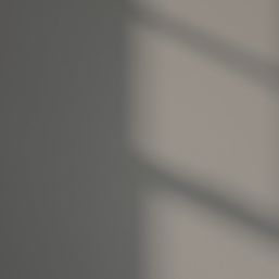 LickPro Max+ 1Ltr Grey 09 Matt Emulsion  Paint