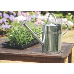 Essentials  Steel Watering Can with Rose 12Ltr
