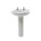 Trade Basics Basin-To-Go Full Pedestal Bathroom Basin 2 Tap Holes 570mm