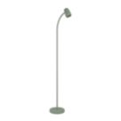 Eglo Carlo Floor Lamp Green
