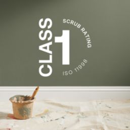 LickPro Max+ 1Ltr Green 22 Matt Emulsion  Paint