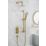 Bristan Round Riser Rail Kit and Wall Outlet Brushed Brass