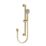 Bristan Round Riser Rail Kit and Wall Outlet Brushed Brass