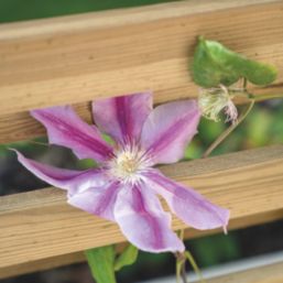 Forest Living Screen Rectangular Garden Planter Natural Timber 900mm x 390mm x 1800mm