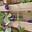 Forest Living Screen Rectangular Garden Planter Natural Timber 900mm x 390mm x 1800mm