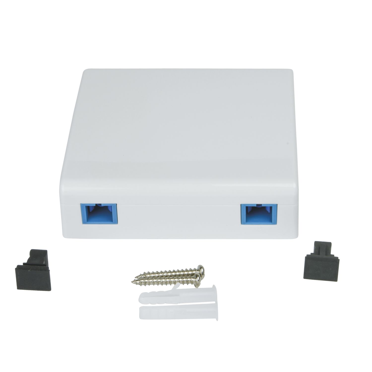 Labgear 2 Port Mount Box With Twin SC Adaptor (667KM)