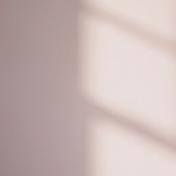 LickPro Max+ 2.5Ltr Pink 04 Eggshell Emulsion  Paint