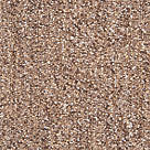 Abingdon Carpet Tile Division Unity Latte Carpet Tiles 500 x 500mm 20 Pack