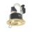 Spa Cali Adjustable  Downlights Brass 6 Pack