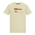 Regatta Cline IX Short Sleeve T-Shirt White Stone Wilderness Small 38.5" Chest