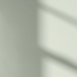 LickPro Max+ 5Ltr Green 09 Matt Emulsion  Paint