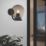 Eglo Taverna Outdoor Wall Light with Smoked Plastic Globe Black