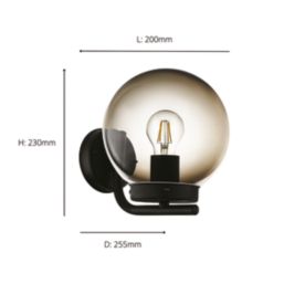 Eglo Taverna Outdoor Wall Light with Smoked Plastic Globe Black