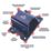 Squire Ground Anchor Blue Medium/Large 200mm