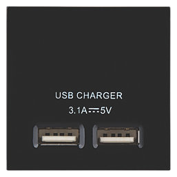 LAP  Modular 3.1A 15.5W 2-Outlet Type A USB Socket Black