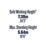 Werner TradePRO D-Rung 6.86m Extension Ladder
