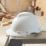Site  Hard Hat White