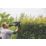Bosch AdvancedHedgeCut 65 65cm 500W 240V Corded Brushless Hedge Trimmer