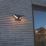 Lutec Twisto Outdoor LED Wall Light Dark Grey 13W 1000lm