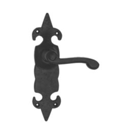Carlisle Brass Fleur de Lys Door Handles Pair Black