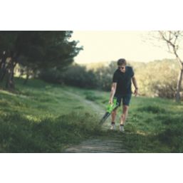 Greenworks  GWG40AB 40V Li-Ion   Cordless Axial Blower - Bare